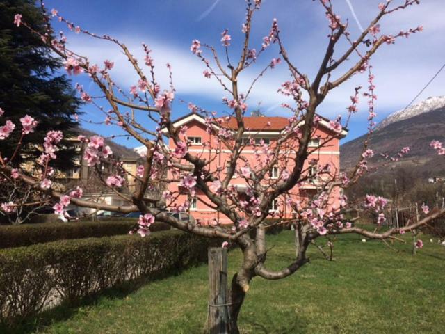 Apartment Al Borgo Di Sant'orso - Cir 0342